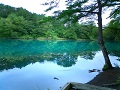 Fukushima